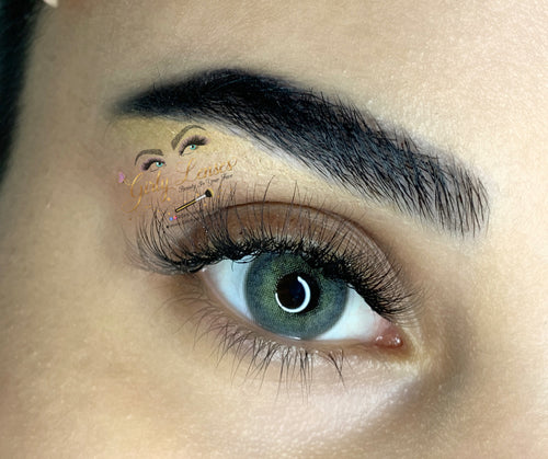 PERSIAN - LA ROSA